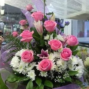 Meet your Posher, Victoria